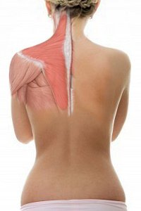 What are the treatments for a pulled trapezius muscle?