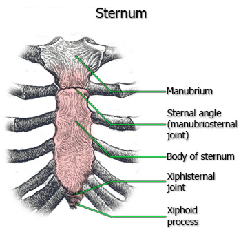 Does pop why my sternum Sternum Popping: