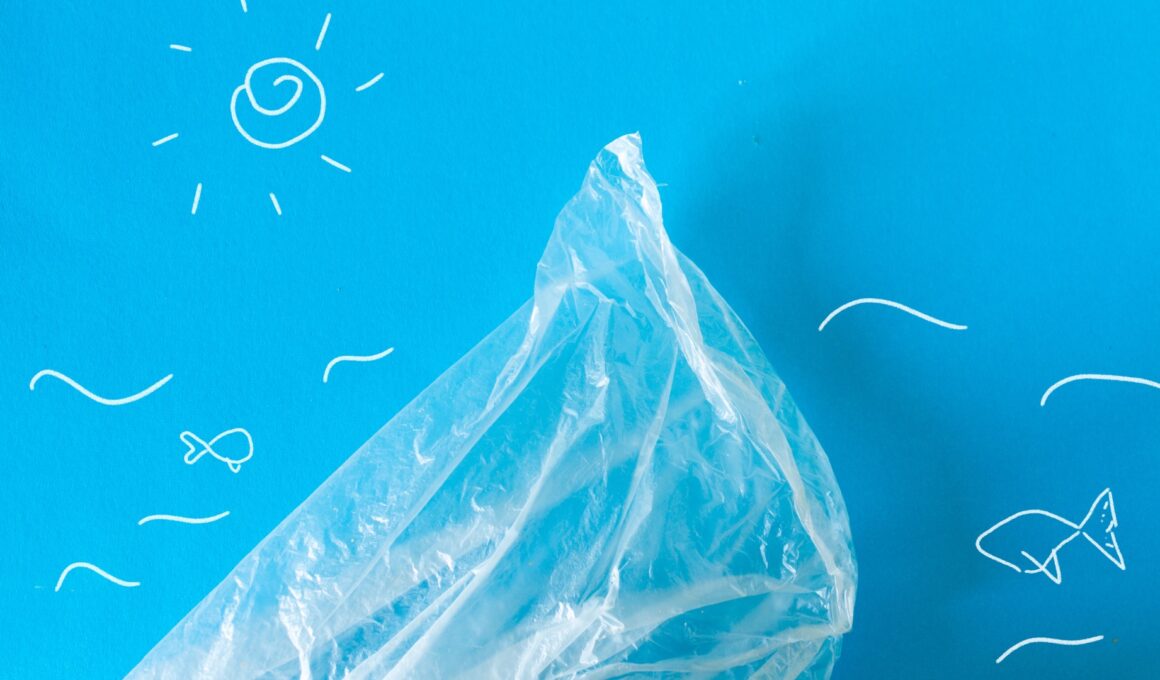 The Effects of Plastic Bags on Environment