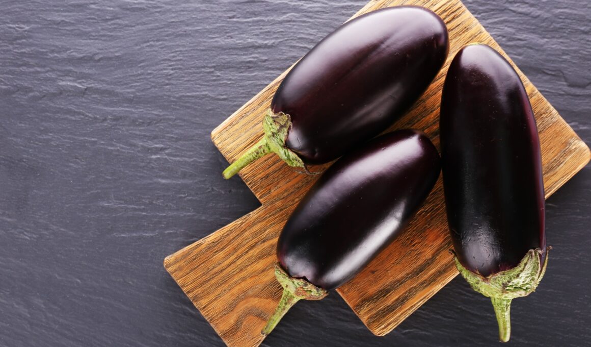 The Nutritional Benefits of Eggplant